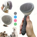 Brosse de nettoyage